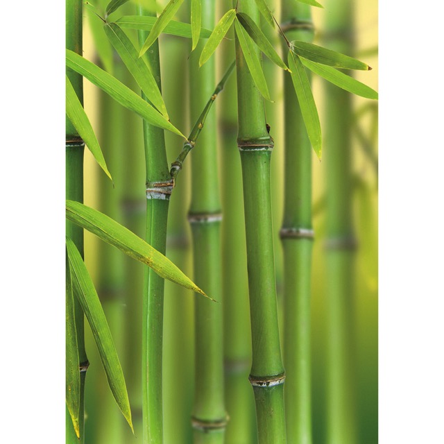 Digital Print Panels Bamboo
